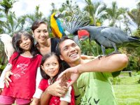 Promo Tiket Bali Bird Park Untuk Domestik